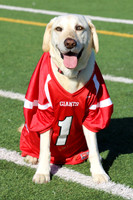 Redwood Varsity Senior Pictures 2025
